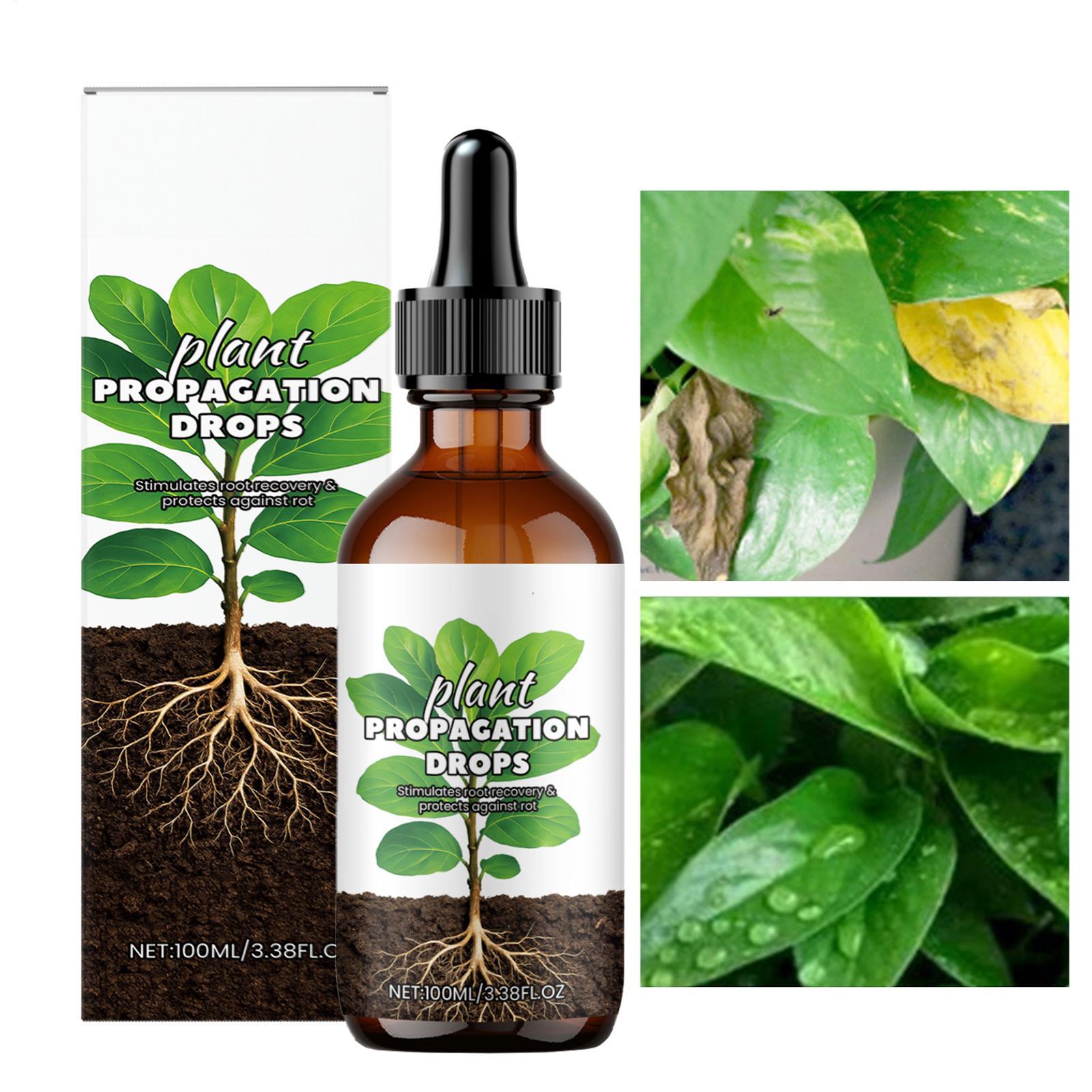 Root Stimulator Liquid - 루트 부스터 100ml 액체 루트 자극제
