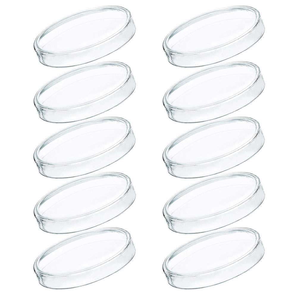 Agar Tissue Culture - 10Pcs 플라스틱 페트리 접시 투명 투명