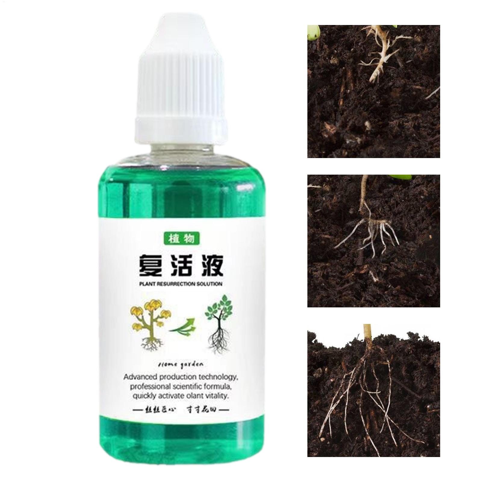 50ml 뿌리 활성제 식물 재생액 야채 비료 뿌리 강화 - Root Stimulator Liquid 리뷰 및 가격