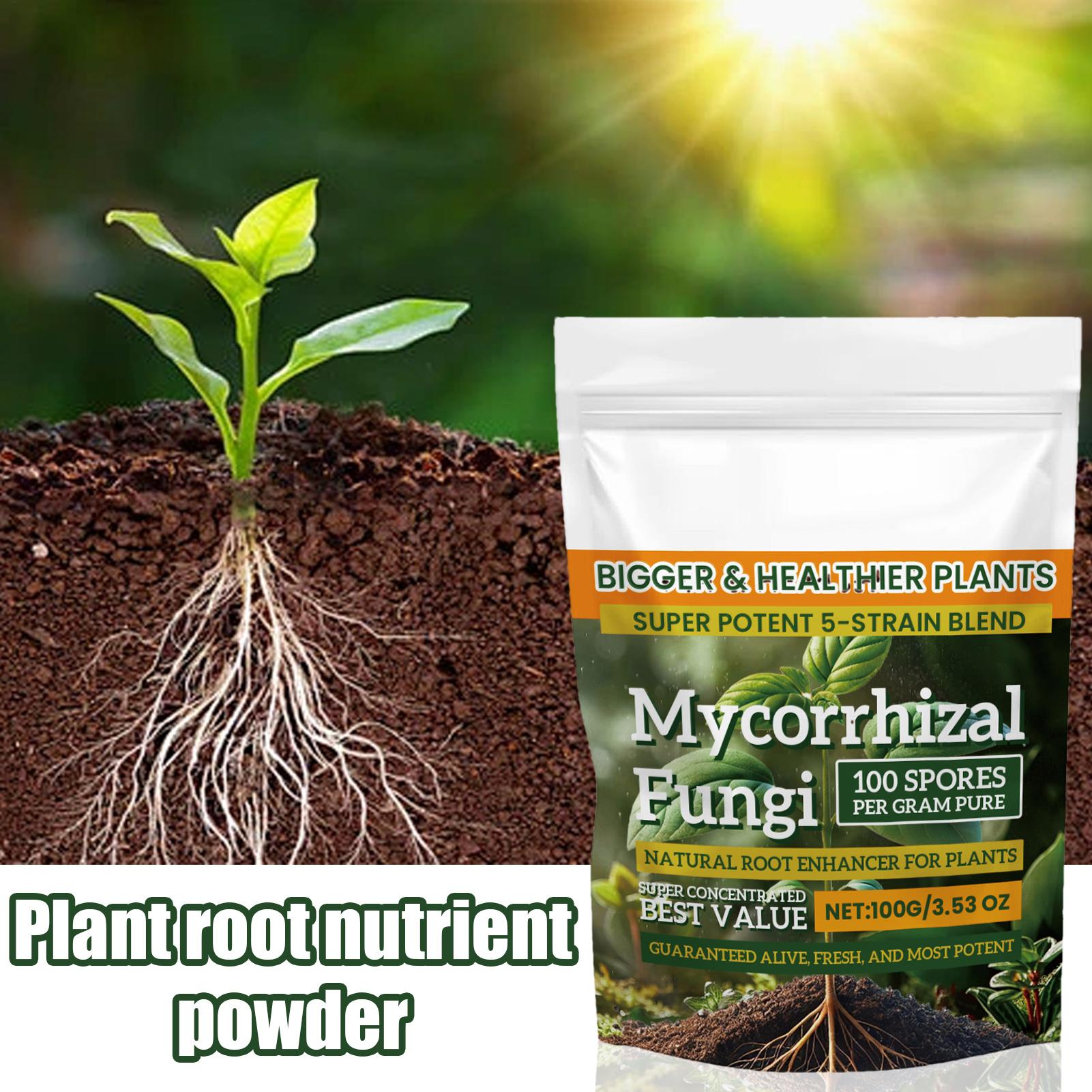 새로운 식물 영양분말 100g 식물 강화 영양분말 다목 - Rooting Hormone Powder 리뷰 및 가격