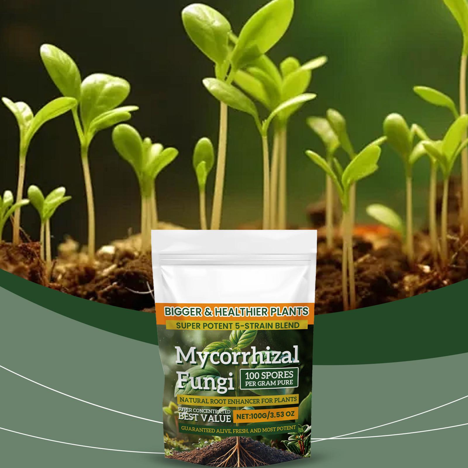 새로운 식물 영양분말 100g 식물 강화 영양분말 다목 - Rooting Hormone Powder 리뷰 및 가격