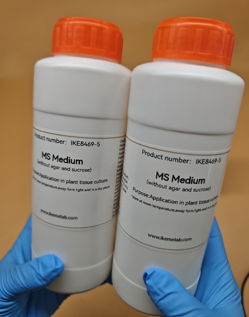 IKEME 한천 및 설탕 없는 식물 조직 배양, 실험실 - Agar Tissue Culture 리뷰 및 가격