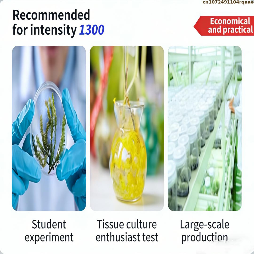 프리미엄 식물 조직 배양 아가르 분말, 고점화력, 마이 - Agar Tissue Culture 리뷰 및 가격