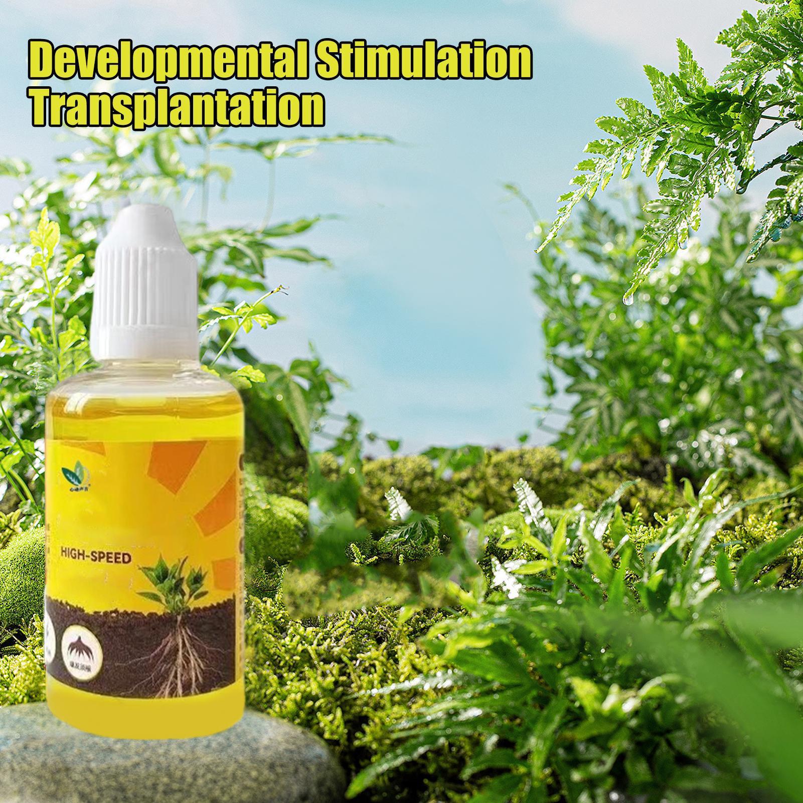 50ml 식물 뿌리 자극제 액체 식물 뿌리 부스터 액체 - Rooting Hormone Powder 리뷰 및 가격