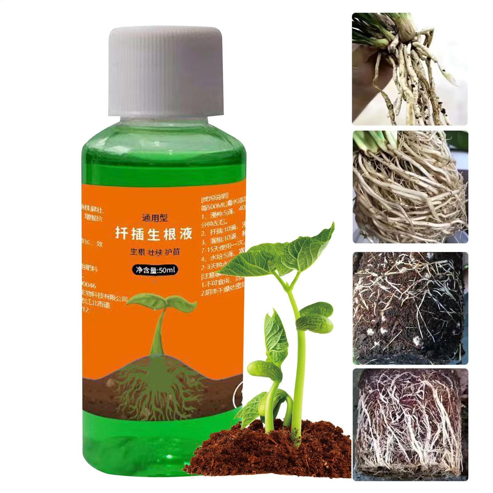 식물 절단용 고효율 뿌리 자극제, 뿌리 성장 촉진제,  - Root Stimulator Liquid 리뷰 및 가격