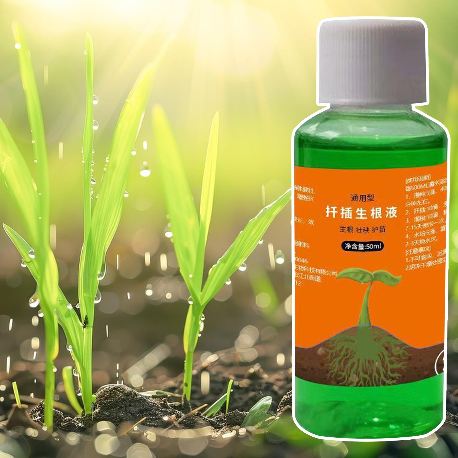 식물 절단용 고효율 뿌리 자극제, 뿌리 성장 촉진제,  - Root Stimulator Liquid 리뷰 및 가격