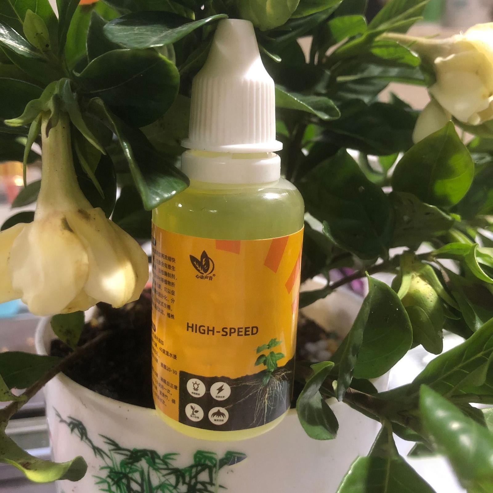 식물 빠른 뿌리 성장 솔루션 50ml 영양 풍부 포뮬러 - Root Stimulator Liquid 리뷰 및 가격