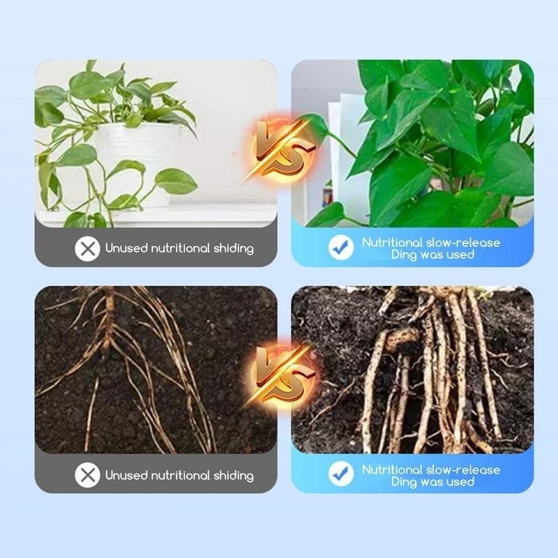 500g 고강도 발근 호르몬 분말 빠른 작용 식물 뿌리 - Rooting Hormone Powder 리뷰 및 가격