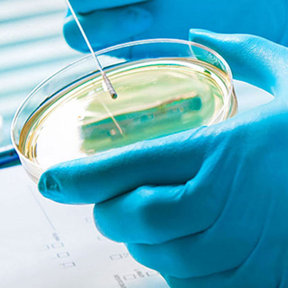 10Pcs 플라스틱 페트리 접시 투명 투명 100Mm  - Agar Tissue Culture 리뷰 및 가격